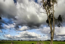 开云体育官网:贪?孙世林联系孙凯踢假球,自己受益14万,“仅”付孙凯2万.