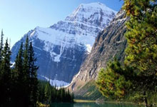 加时不敌海鸥足总杯出局 喜鹊考虑为戈登红卡上诉.